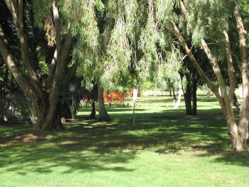 Territory Manor Motel & Caravan Park Mataranka Extérieur photo